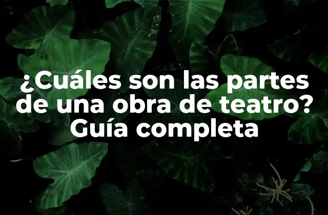 ¿cuáles Son las Partes de una Obra de Teatro? Guía Completa