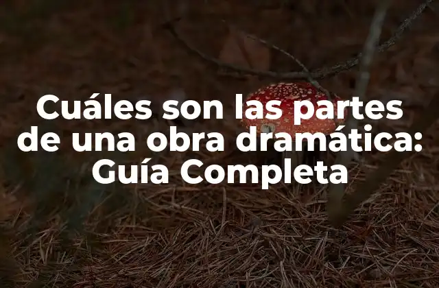 Cuáles Son las Partes de una Obra Dramática: Guía Completa 2 Estructura básica de una obra dramática