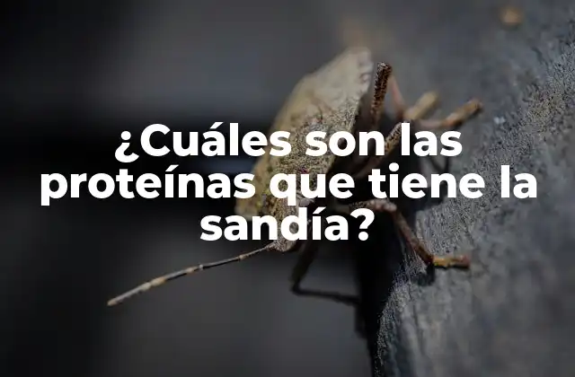 ¿cuáles Son las Proteínas que Tiene la Sandía?
