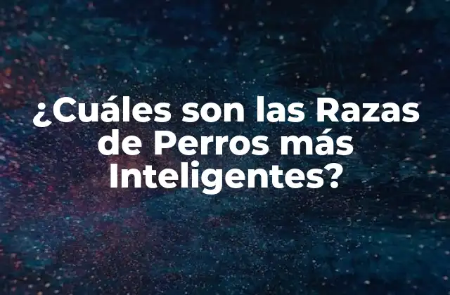 ¿cuáles Son las Razas de Perros Más Inteligentes?