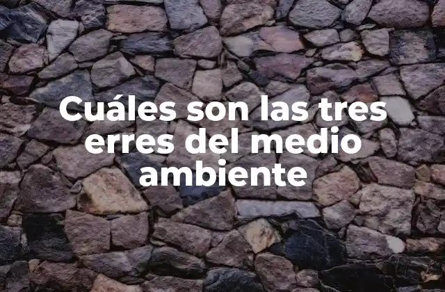 Cuáles Son las Tres Erres Del Medio Ambiente
