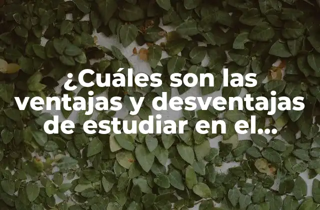 ¿cuáles Son las Ventajas y Desventajas de Estudiar en el Extranjero?