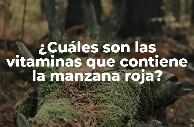¿cuáles Son las Vitaminas que Contiene la Manzana Roja?