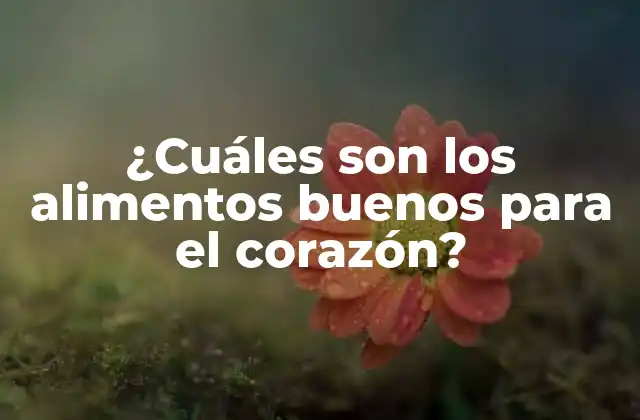 Los alimentos ricos en grasas omega-3