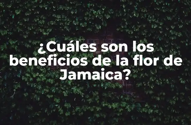 ¿cuáles Son los Beneficios de la Flor de Jamaica?