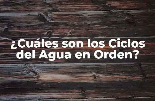 ¿cuáles Son los Ciclos Del Agua en Orden?