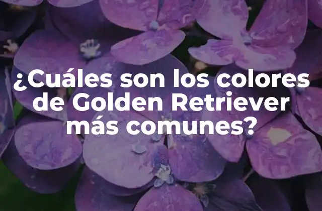 ¿cuáles Son los Colores de Golden Retriever Más Comunes?