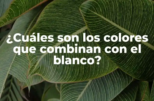 Colores neutros que combinan con el blanco