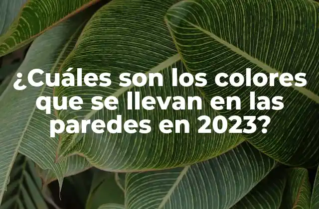 ¿cuáles Son los Colores que Se Llevan en las Paredes en 2023?