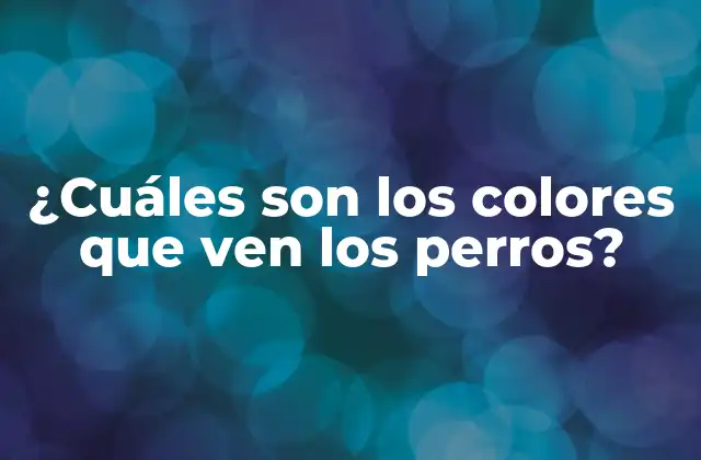 ¿cuáles Son los Colores que Ven los Perros?