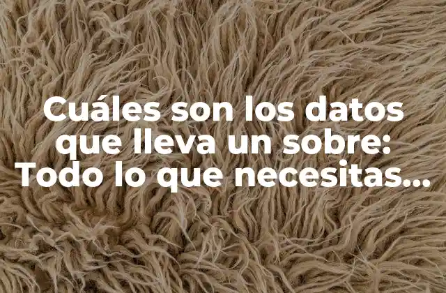 Cuáles Son los Datos que Lleva un Sobre: Todo Lo que Necesitas Saber