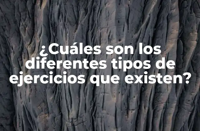 ¿cuáles Son los Diferentes Tipos de Ejercicios que Existen?