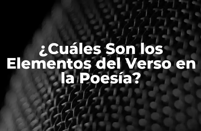 ¿cuáles Son los Elementos Del Verso en la Poesía?