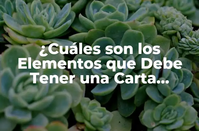 ¿cuáles Son los Elementos que Debe Tener una Carta Formal?