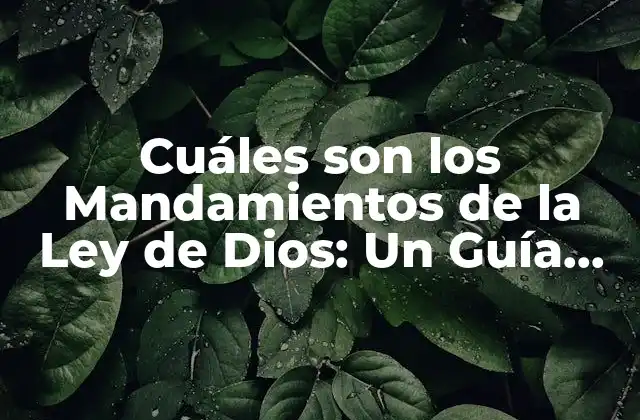 Cuáles Son los Mandamientos de la Ley de Dios: un Guía Detallada