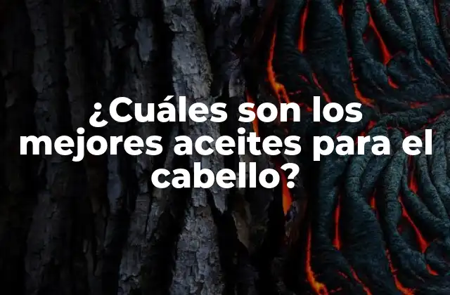 ¿cuáles Son los Mejores Aceites para el Cabello?
