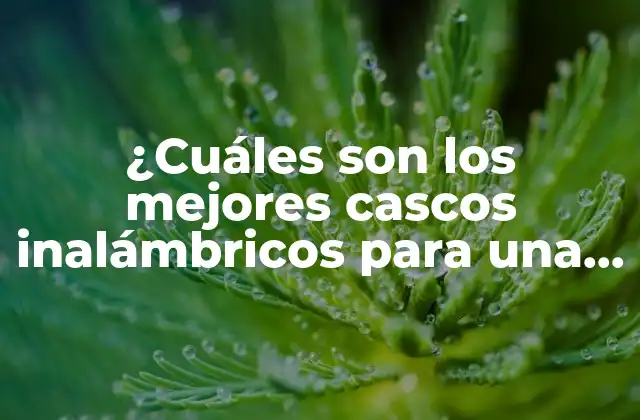 ¿cuáles Son los Mejores Cascos Inalámbricos para una Experiencia de Audio Óptima?