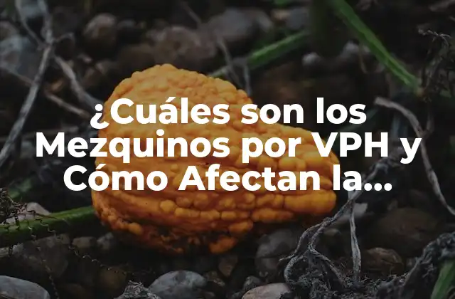 ¿cuáles Son los Mezquinos por Vph y Cómo Afectan la Salud?