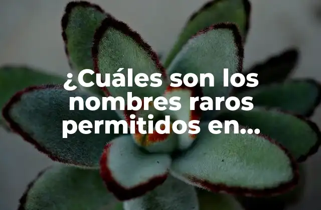 ¿cuáles Son los Nombres Raros Permitidos en Argentina?