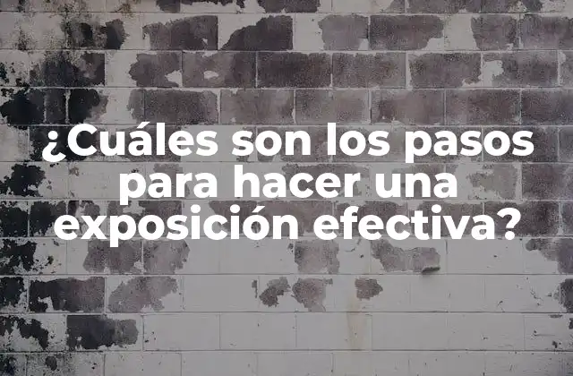 ¿cuáles Son los Pasos para Hacer una Exposición Efectiva?