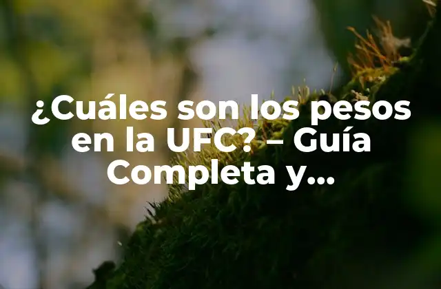 ¿cuáles Son los Pesos en la Ufc? – Guía Completa y Actualizada
