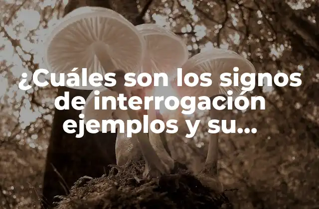 ¿cuáles Son los Signos de Interrogación Ejemplos y Su Importancia en la Comunicación?