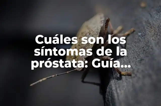 Cuáles Son los Síntomas de la Próstata: Guía Completa y Detallada