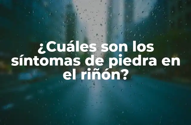 ¿cuáles Son los Síntomas de Piedra en el Riñón?