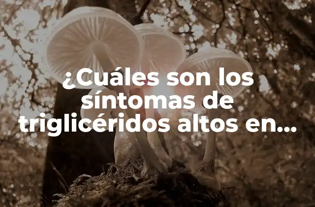 ¿cuáles Son los Síntomas de Triglicéridos Altos en Mujeres? – una Guía Completa