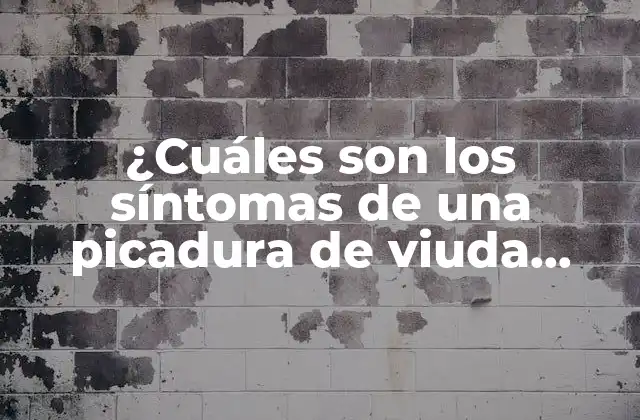 ¿Qué es la viuda negra y por qué es tan peligrosa?