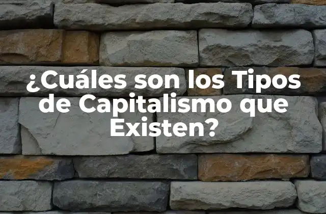¿cuáles Son los Tipos de Capitalismo que Existen?