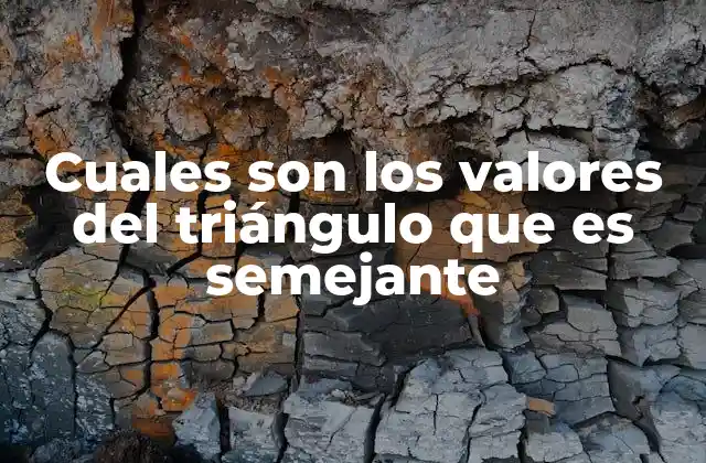 Cuales Son los Valores Del Triángulo que es Semejante