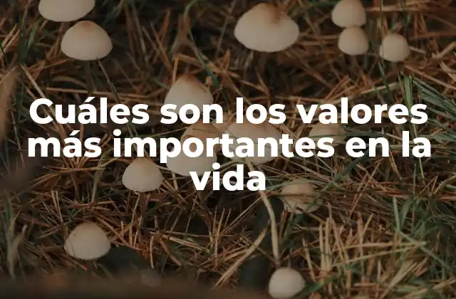 Cuáles Son los Valores Más Importantes en la Vida
