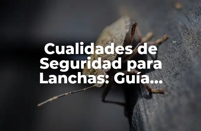 Cualidades de Seguridad para Lanchas: Guía Completa y Detallada