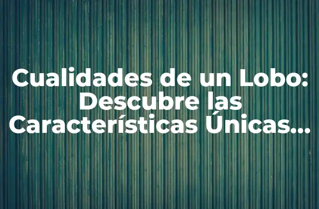 Cualidades de un Lobo: Descubre las Características Únicas de Estos Animales Fascinantes