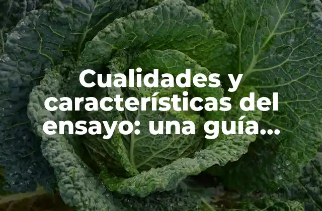 Cualidades y Características Del Ensayo: una Guía Completa