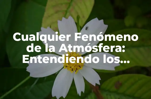 Cualquier Fenómeno de la Atmósfera: Entendiendo los Cambios Climáticos