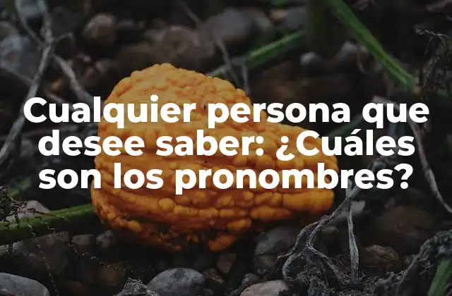 Cualquier Persona que Desee Saber: ¿cuáles Son los Pronombres?