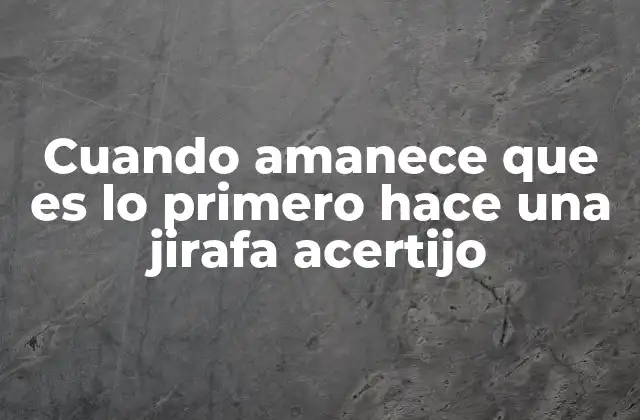 Cuando Amanece que es Lo Primero Hace una Jirafa Acertijo 2 El arte de resolver acertijos como herramienta de pensamiento