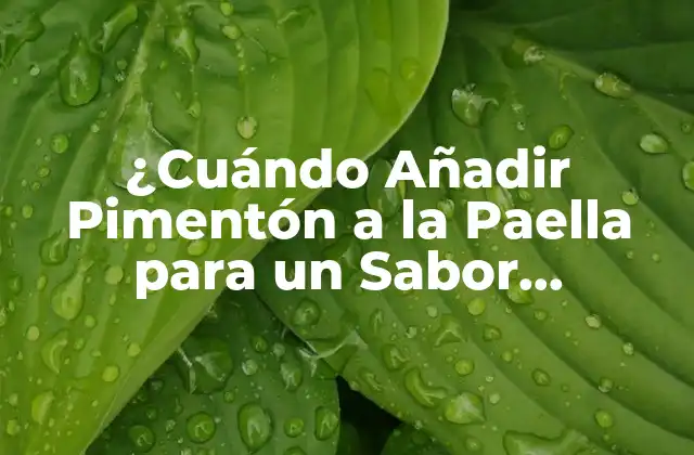 ¿cuándo Añadir Pimentón a la Paella para un Sabor Auténtico?