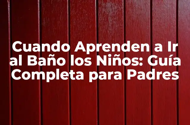 Cuando Aprenden a Ir Al Baño los Niños: Guía Completa para Padres