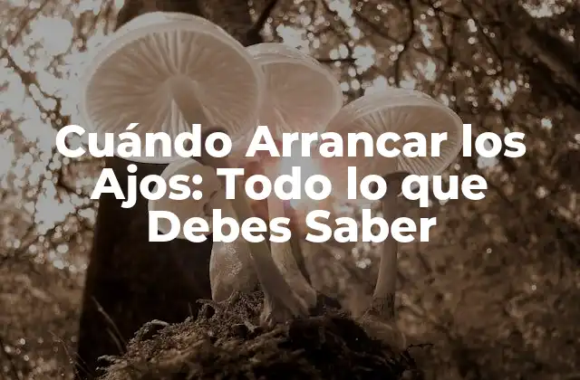 Cuándo Arrancar los Ajos: Todo Lo que Debes Saber