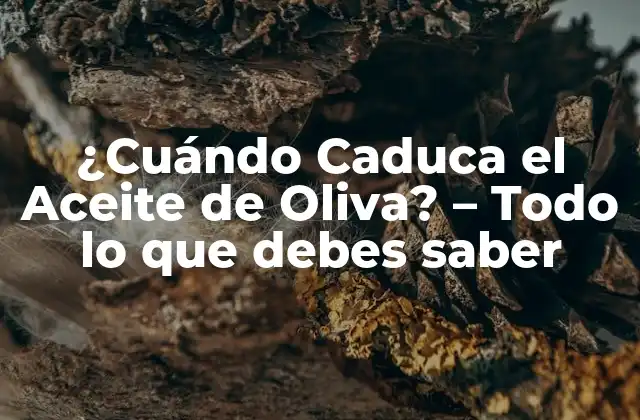 ¿Qué es la Caducidad del Aceite de Oliva?
