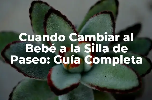 Cuando Cambiar Al Bebé a la Silla de Paseo: Guía Completa 2 ¿Cuánto Tiempo Debe Pasar Antes de Cambiar al Bebé a la Silla de Paseo?