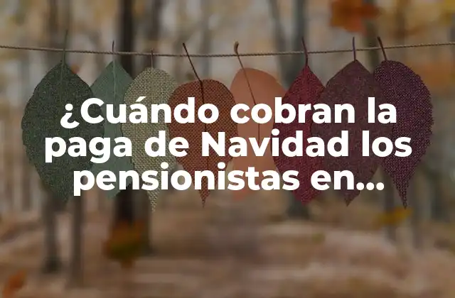 ¿cuándo Cobran la Paga de Navidad los Pensionistas en España?