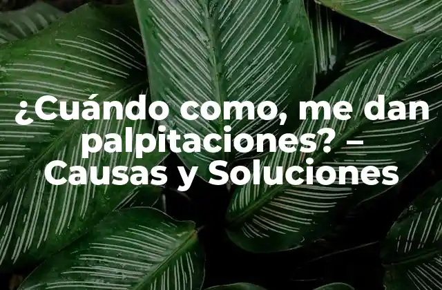 Causas de las Palpitaciones Alimentarias