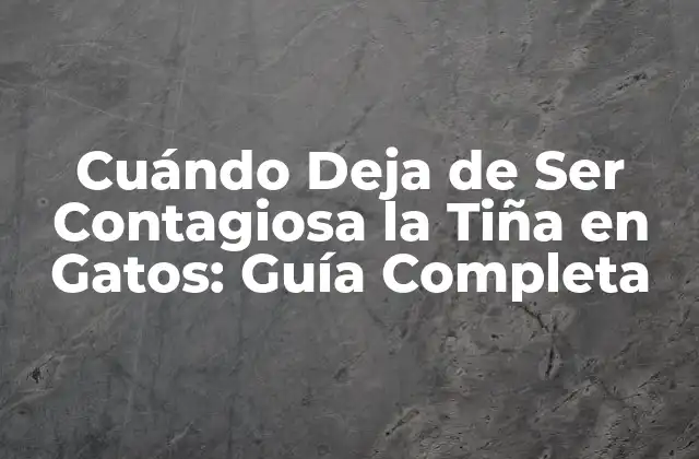 Cuándo Deja de Ser Contagiosa la Tiña en Gatos: Guía Completa