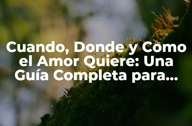 Cuando, Donde y como el Amor Quiere: una Guía Completa para Encontrar el Amor Verdadero