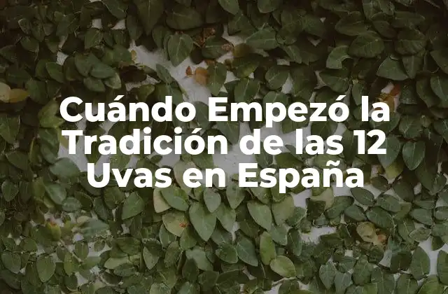 Cuándo Empezó la Tradición de las 12 Uvas en España