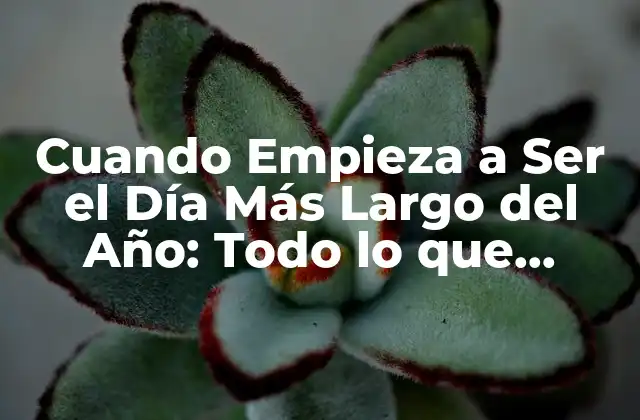 Cuando Empieza a Ser el Día Más Largo Del Año: Todo Lo que Necesitas Saber